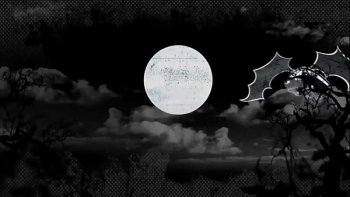 Затем идёт в номер к нигеру