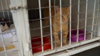 Поскольку здесь